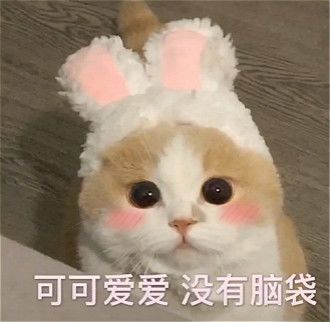 【活动开奖】活动开奖啦，快来看看是哪些幸运鹅吧！！