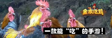 《全家吃鸡》玩出成就！玩出健康！玩出社会价值！