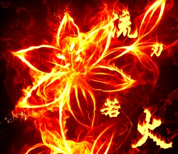 欢迎来到我的直播间。我们今天来了解如何正确使用忍三的打开方式！