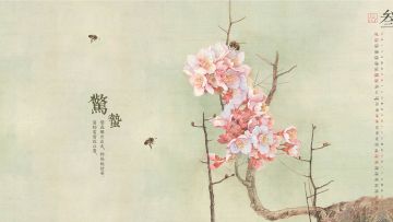 节气—惊蛰