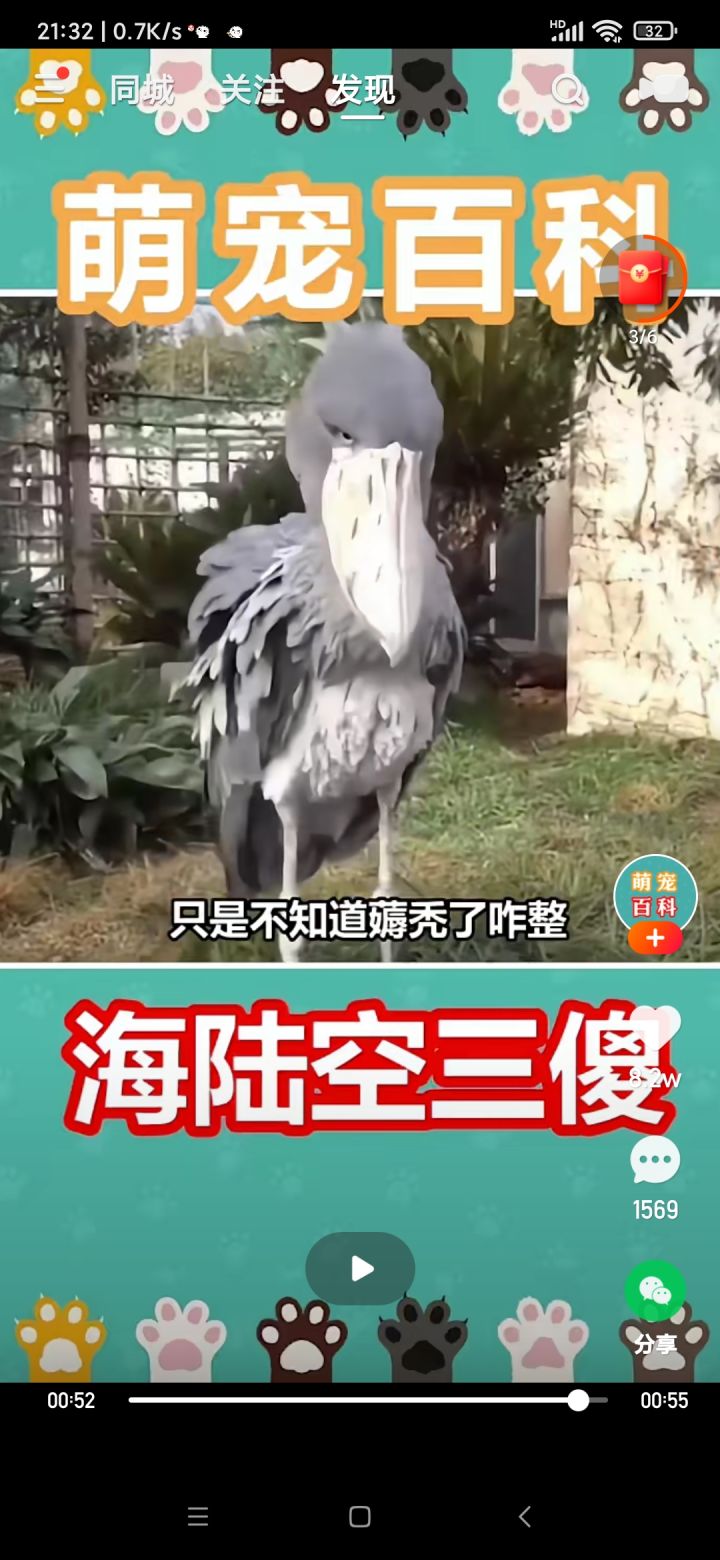 我就想问问有认识这个的吗,看着眼熟。截图