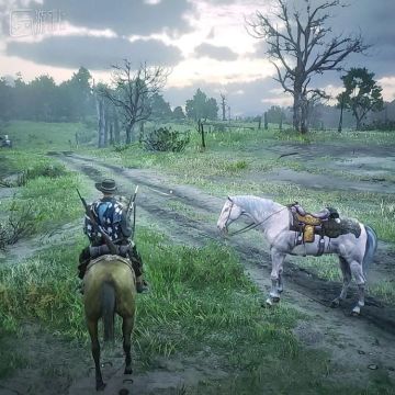 玩家反馈《荒野大镖客OL》更新后频繁出现“幽灵马”