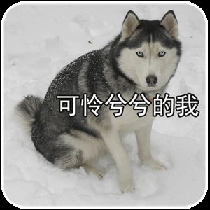 【新活动】工资不到5000，小火被迫摆摊卖火柴！！！