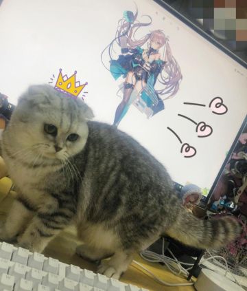 K总有话说——关于《君临之境》的新消息