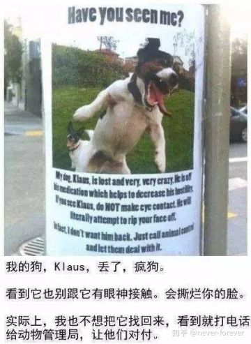 不想修真——第一届选狗大赛