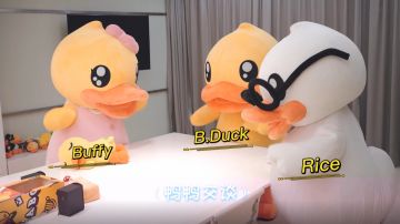 第五人格XB.Duck