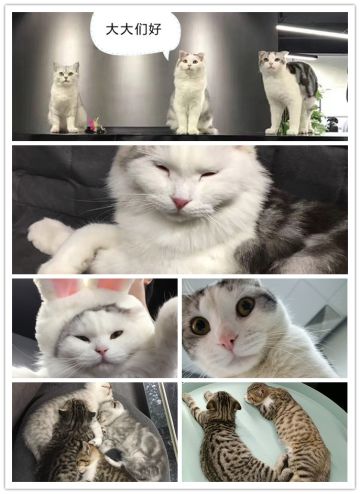 记12月16日丨契约师大大到访啦