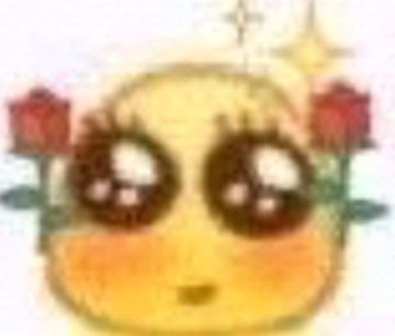 你的表情包大户管理员已上线！