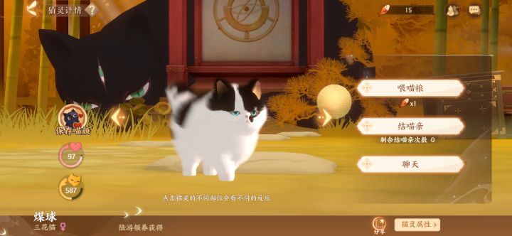 记录一下家里的每一只喵喵截图