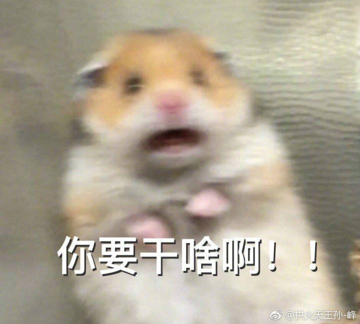 作为开服铁公主实在坚持不住了,告辞截图