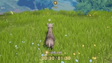 星球档案丨竟可以"沉浸式"扮演一只羊驼？！