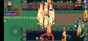 【老番茄】职业选择入门参考