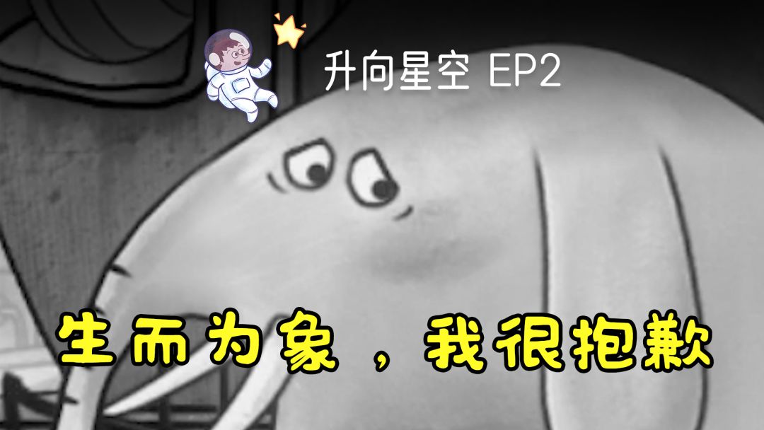 video-1541714