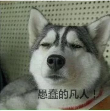 周年庆活动第三弹：龙王波什、湖人加索尔登场！六大巨星强势晋级！