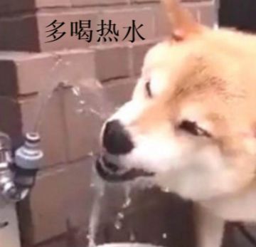 柴吉的冬日问候☃