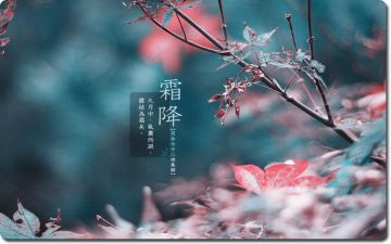 《大侠挂个机》节气活动开始啦！