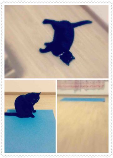 <喵星人大战咸鱼>JOJO原型很好奇~满足大家的好奇心