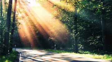 《票房大卖王》旺角卡门