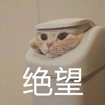 朋友们，今年还有mmd吗？截图