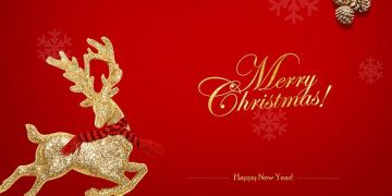 【12-20】圣诞节活动