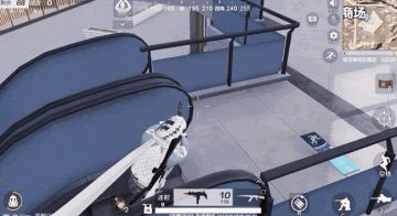 开启探索之旅，打卡荒野童趣景点