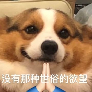 （已开奖）第4期【斗篷开发日记】—版号问题修改完成