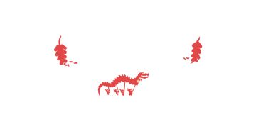 活动公告丨这次的无畏Chao不一样der