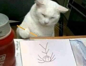 【立flag】画一遍所有喜欢的脑壳