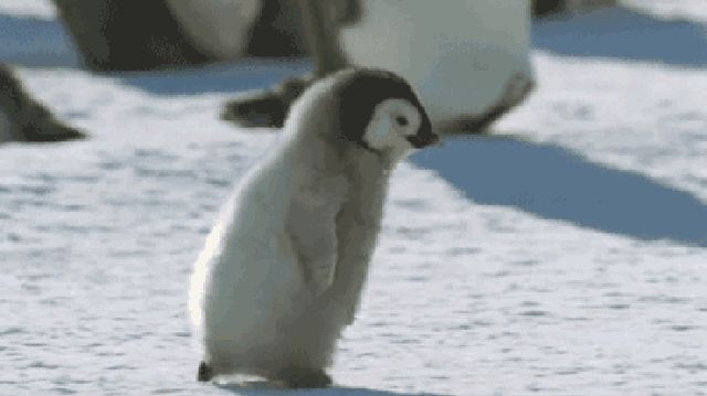 有交流群吗?截图