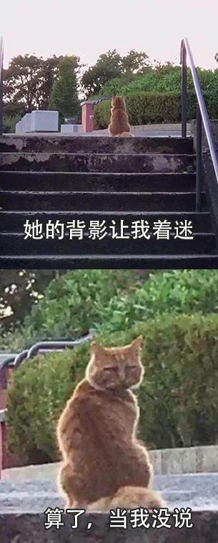 致青春：写给《推理学院》和我的女神