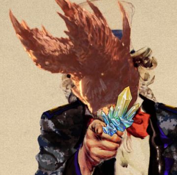 【暖雪攻略】雷你小子一下，雷二build攻略