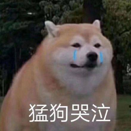 还有谁比我倒霉截图