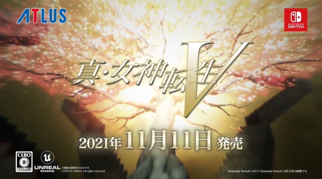 video-2178692