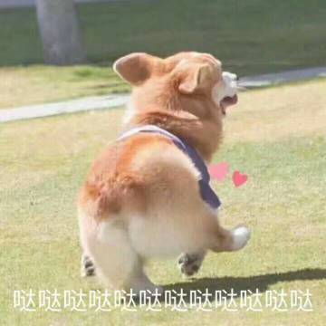 【预告】【开发组日志】听说有新名士要入驻忘川啦？