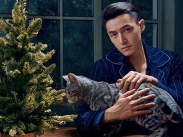 撸猫界的明星范儿，解锁爱豆最新撸猫姿势