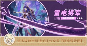 【2.5攻略】BOSS攻略#【原神冒险团】雷电将军 你要与我为敌吗？