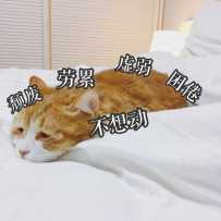 游侠 —— 搭配讲解（附带80单刷）