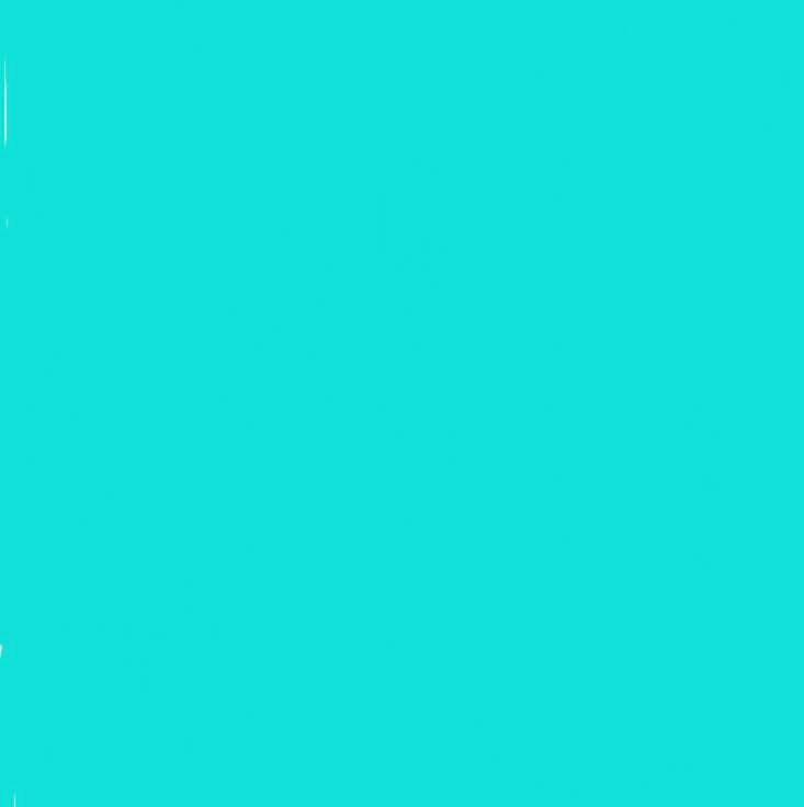 video-1325468