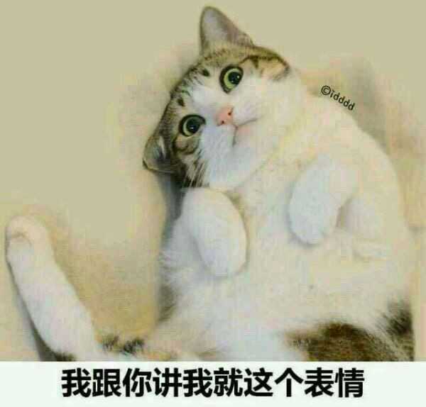 地龙亨德尔合集截图