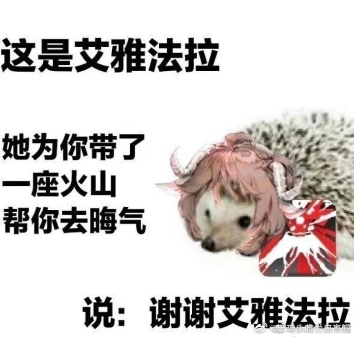 这回是不是有肉鸽？截图