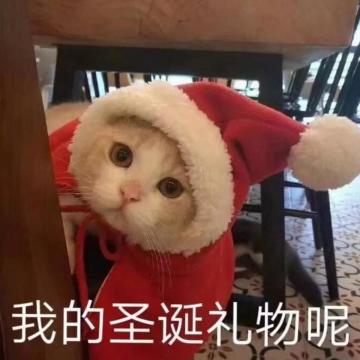 欢迎来到圣诞派对，快上车就差你啦！