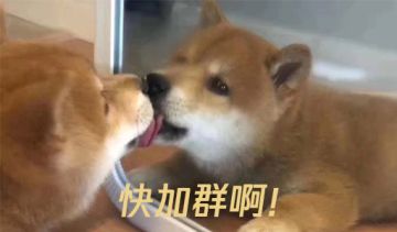 收到信息没进群的同学看过来-2018.12.8