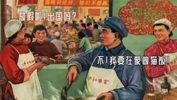 【墓后故事】劳动最光荣特辑《龙骑士之猫》