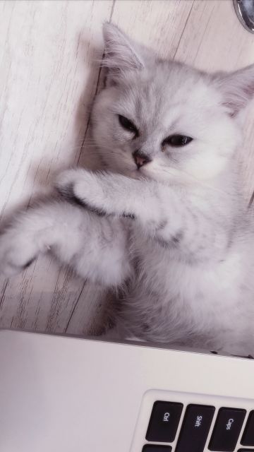 无心工作的一天