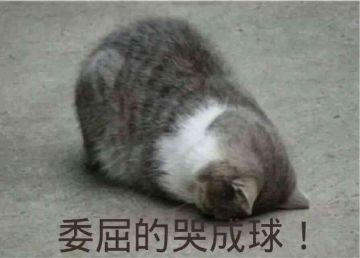 【关于开测】抱歉，我们要迟到了