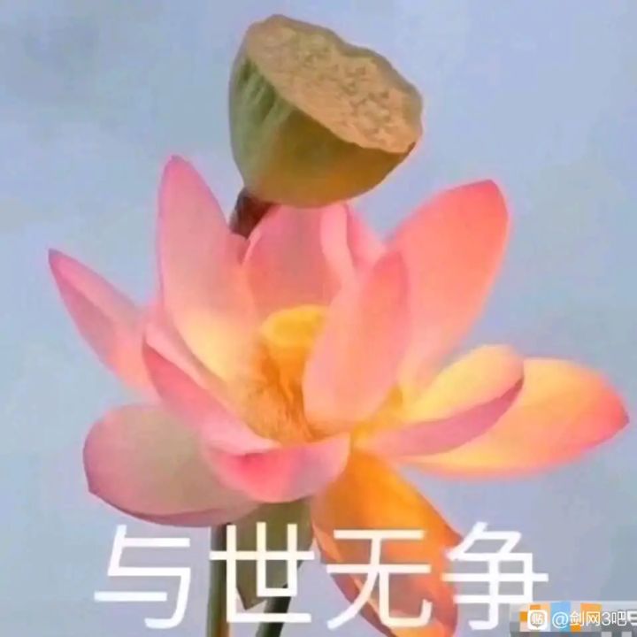 灵龙和云鹰哪个做战宠好啊 都有点好康截图