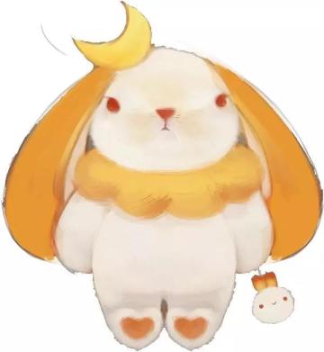 神秘兔子突袭九州！新的团宠诞生