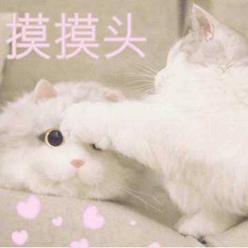 【官方】5月外挂举报集中帖