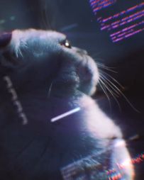 赛博朋克生活 2077猫