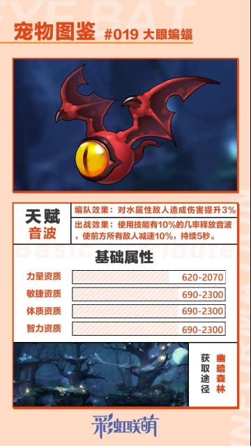 【萌宠图鉴】大眼仔——大眼蝙蝠